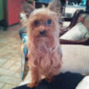 Meet your Posher, April